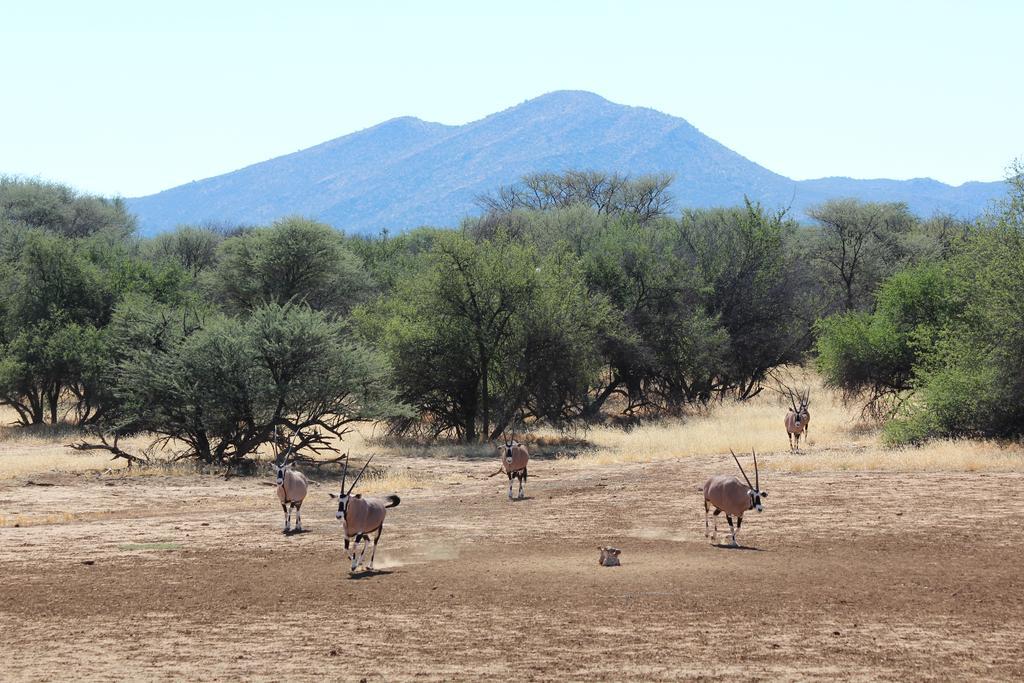 Haasenhof Gastefarm Villa Okahandja Esterno foto